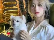 舆情专业优化，企业声誉的隐形护城河，舆情专业优化