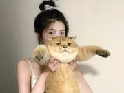 视频h直播不可忍，投诉维权有章可循，视频h直播怎么投诉投诉