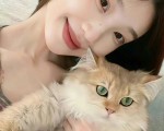 看到违规抖音视频？手把手教你高效举报，还能找专业团队帮忙，看到违规抖音视频如何举报
