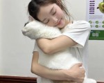 抖音举报会被封吗,抖音举报会被发现吗
