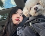 直播买到假翡翠？别慌！这份维权指南教你有效投诉，直播买到假翡翠怎么投诉
