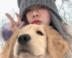 快手直播间买的病狗怎么投诉？维权攻略在此，快手直播间买的病狗怎么投诉
