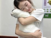 手把手教你举报短视频违规内容，必要时可求助专业团队，怎么举报短视频平台违规作品的人
