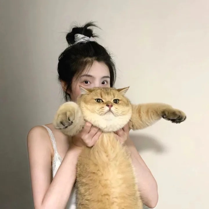 直播间购物遇虚假宣传？这份维权指南请收好，如何投诉直播间的虚假宣传